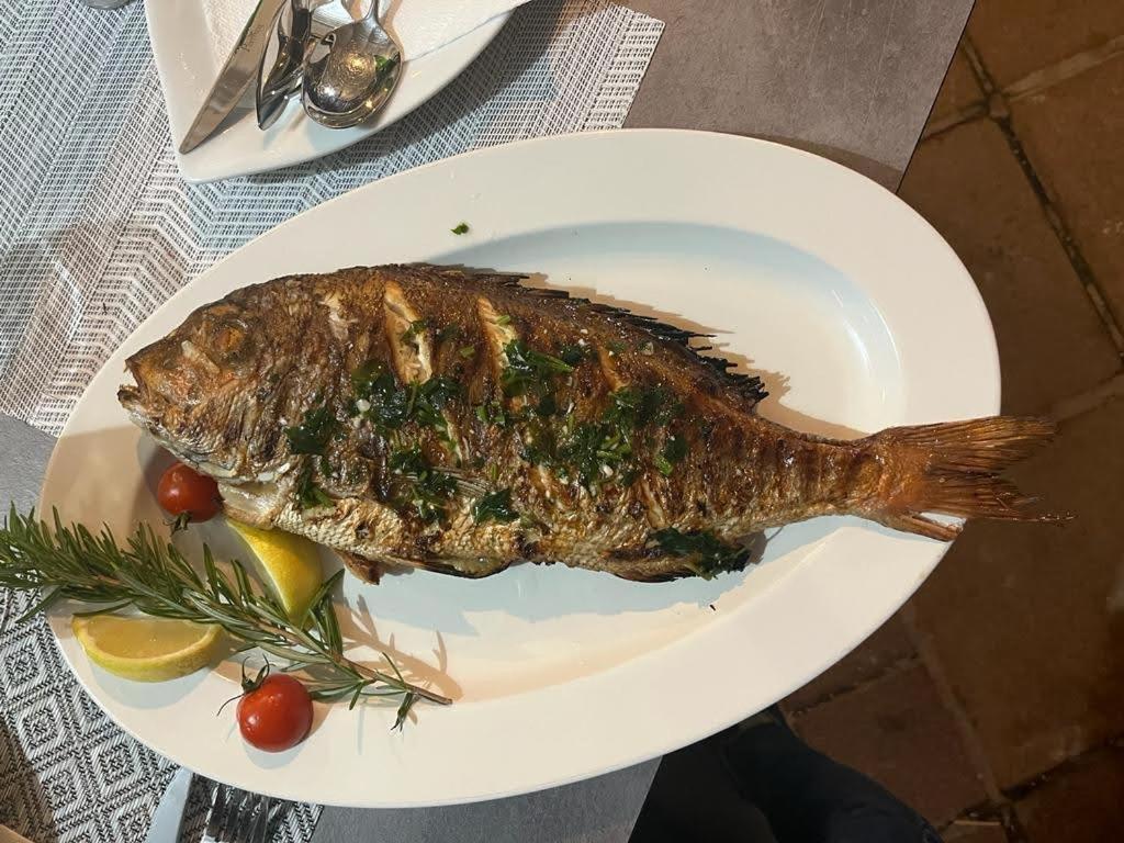 Vila Nataly Trogir Kültér fotó